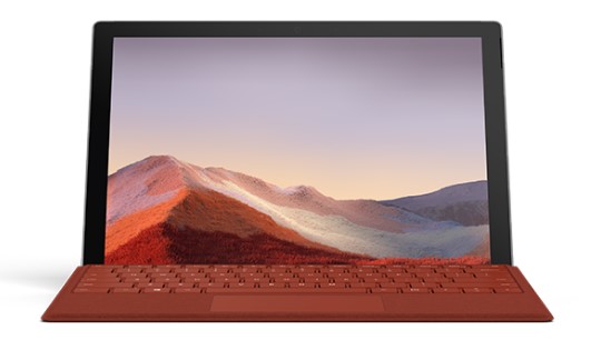 鹿寨清洁和维护 Surface